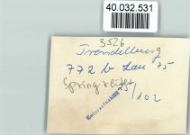 W3526 Trendelburg Springreiter Hindernisreiten FOTO KEINE AK