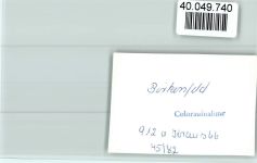 55765 W6588 Birkenfeld , Nahe FOTO KEINE AK Ortsansicht