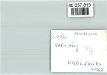 32361 W4994 Holzhausen , Kr Lübbecke, Westf FOTO KEINE AK Kurhaus Holsing