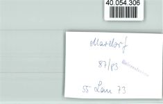 31535 W3071 Mardorf , Niedersachs FOTO KEINE AK Fischrestaurant
