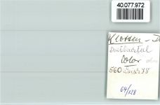 56818 W5592 Klotten FOTO KEINE AK Wasserfall