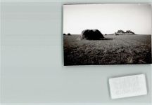 25859 W2251 Hooge , Hallig FOTO KEINE AK