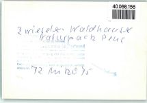 94227 W8372 Zwiesel FOTO KEINE AK Pension Naturpark