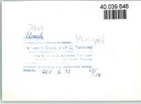 79215 W7807 Elzach FOTO KEINE AK Minigolf