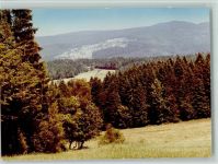 94556 W8351 Waldhäuser FOTO KEINE AK Aussicht