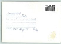 23717 W2423 Kasseedorf FOTO KEINE AK Reethaus