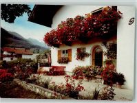 83224 W8215 Rottau , Chiemgau FOTO KEINE AK Geranienbalkon