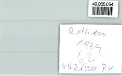 27336 W2818 Rethem (Aller) FOTO KEINE AK Allerlauf
