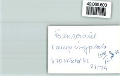 26427 W2943 Bensersiel FOTO KEINE AK Camping