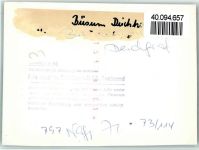 W2242 Büsum Hotel Deichgraf Innenaufnahme Speisesaal gedeckter Tisch FOTO KEINE AK