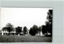 48480 W4441 Schapen , Emsl - Foto