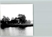 26689 W2913 Apen - Foto