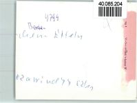 33178 W4799 Borchen FOTO KEINE AK Ortsansicht
