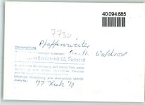 78048 W7730 Pfaffenweiler , Schwarzw FOTO KEINE AK Gasthaus Waldrose Innenaufnahme Gastraum