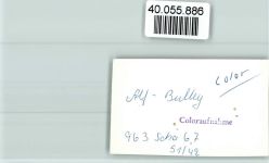 56859 W5584 Bullay FOTO KEINE AK Ortsansicht
