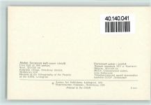 Moldavischer Teppich Teppich