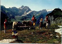 Appenzell Appenzeller Trachtenkinder und junge Kälbli Kuh
