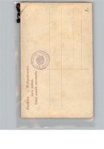 87645 W8959 Hohenschwangau