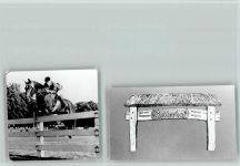 49828 W4458 Neuenhaus , Dinkel - Foto Springreiter über dem Ochser