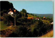 67140 Le Hohwald - Zundelkopf AKU2