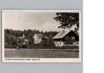 94227 W8372 Zwiesel