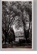 65812 W6232 Bad Soden am Taunus - Foto 10x14 cm