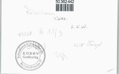 97268 W8701 Kirchheim , Unterfr - Foto-Karte