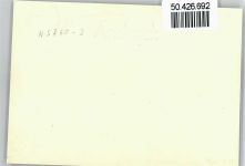 93309 W8420 Kelheim - Foto