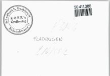 97650 W8741 Fladungen - Foto-Karte