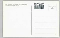 7963 Ruinen - Schafherde