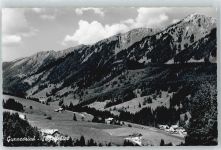 87544 W8976 Gunzesried - Säge