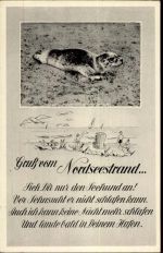 Nordstrand Robbe