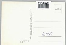 53937 W5372 Olef