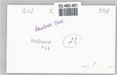 97907 W6981 Hasloch , Main FOTO KEINE AK