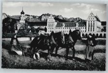 88631 W7792 Beuron - Klosterbruder , Feldarbeit