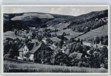 Bad Flinsberg Swieradow-Sdroj - Berg Panorama