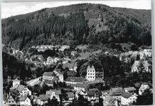 75365 W7260 Hirsau