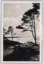 18609 O2337 Binz