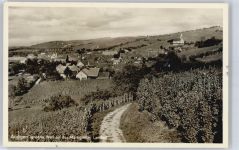79424 W7841 Auggen - Teilansicht, Weinanbau