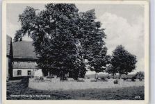 08396 O9611 Waldenburg , Sachs - Gasthof Schlagwitzm Inh. H. Neubert