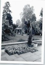 65812 W6232 Bad Soden am Taunus - Foto Pavillon Baum Fußgänger Wiese