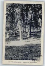 30250 Sommieres - Chateau du Fesq