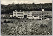 55599 W6551 Wonsheim