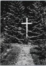 49751 W4475 Spahnharrenstätte - Pestkreuz