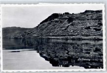 la Borne , Dezaley Wein