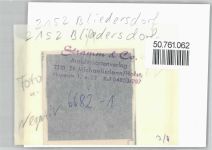 21640 W2152 Bliedersdorf FOTO KEINE AK Foto mit Negativ