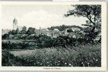61250 W6390 Usingen