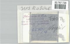 29571 W3115 Rosche FOTO KEINE AK Foto mit Negativ