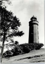 18565 O2359 Insel Hiddensee - Leuchtturm, Dornbusch