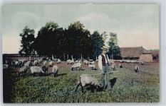 29386 W3122 Schweimke - Schäfer mit Heidschnuckenherde